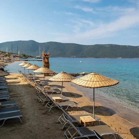 Tui Magic Life - Adults Only Resort 5*