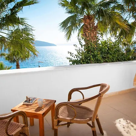 Tui Magic Life - Adults Only (16+) 5* Bodrum