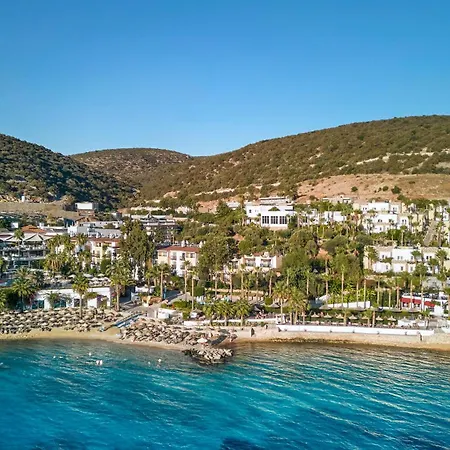 Tui Magic Life - Adults Only (16+) Resort