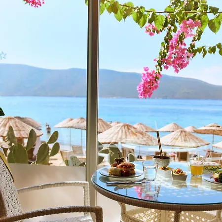 Tui Magic Life - Adults Only (16+) 5* Bodrum