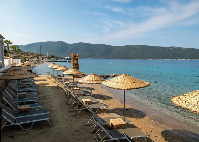 Tui Magic Life - Adults Only Station touristique 5*