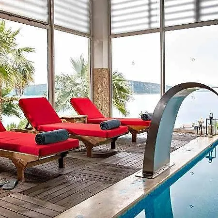 Tui Magic Life - Adults Only 度假村 5*