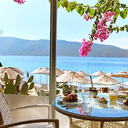 Tui Magic Life - Adults Only 5* Bodrum