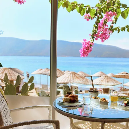 Resort Tui Magic Life - Adults Only 5*