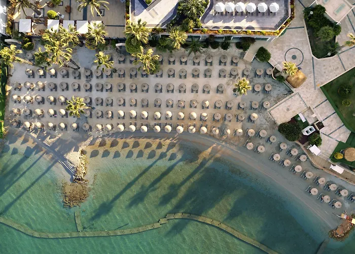 Tui Magic Life - Adults Only