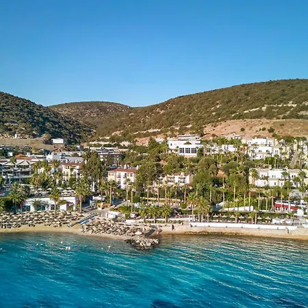 Tui Magic Life - Adults Only אתר נופש